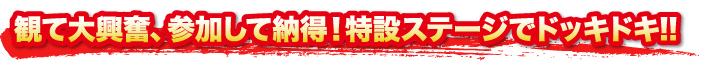 観て大興奮、参加して納得！特設ステージでドッキドキ!!