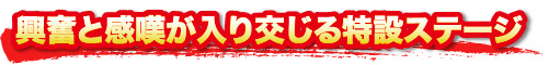 興奮と感嘆が入り交じる特設ステージ
