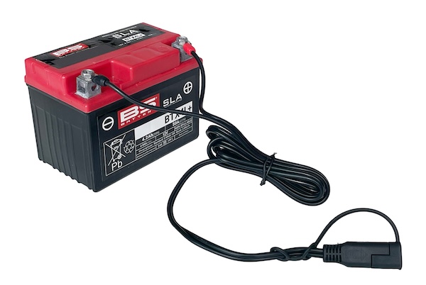 Kaedearカエディア｜スマートバッテリーチャージャー｜KDR-B12｜２りんかん