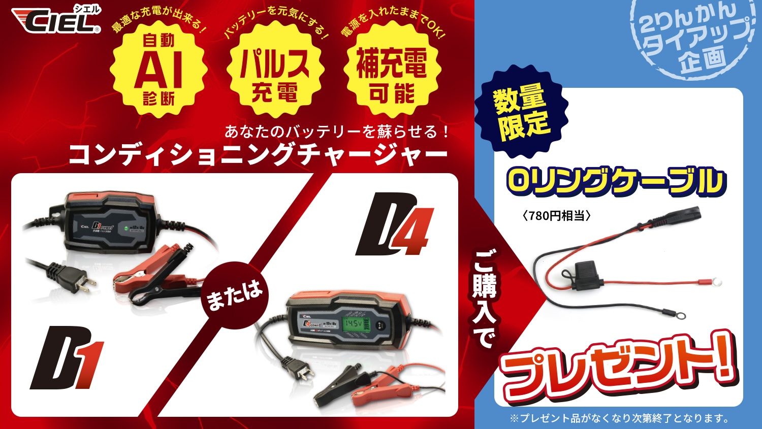 楽ラク充電!!Oリングケーブル付 CIEL D4／D1 コンディショニング