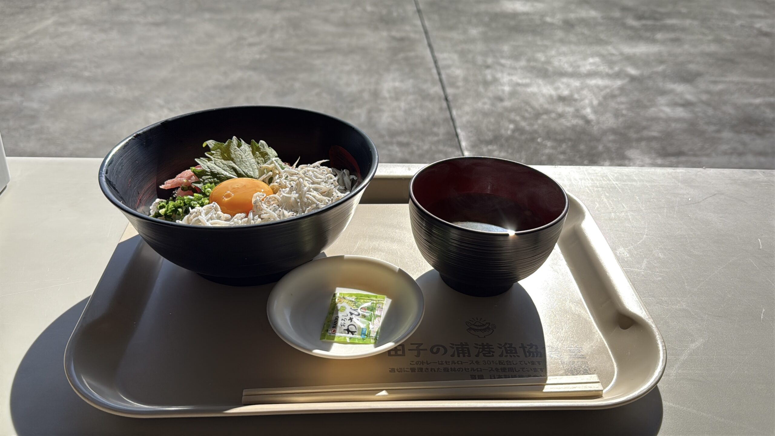 田子の浦港　漁協食堂　釜揚げしらす丼