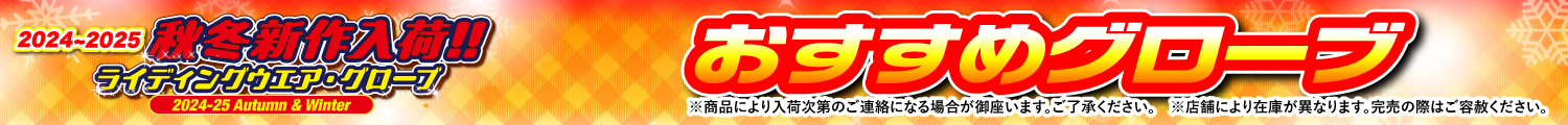 2024-25秋冬新作入荷おすすめグローブ