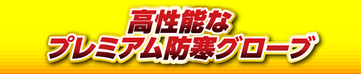 高性能なプレミアム防寒グローブ