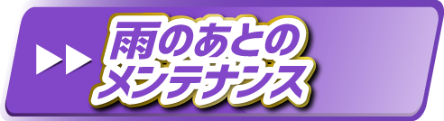 雨のあとのメンテナンス